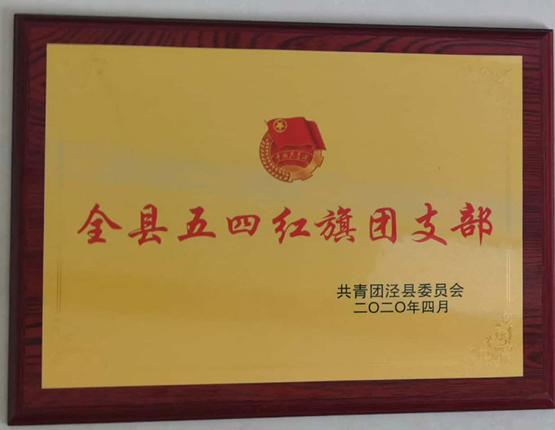 全县五四红旗团支部2020年4月